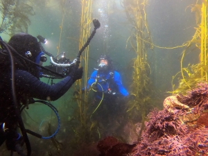 diver being filmed during live broadcast